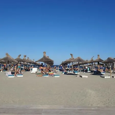 Alexander Spa-beach Resort-mamaia Nord * Năvodari